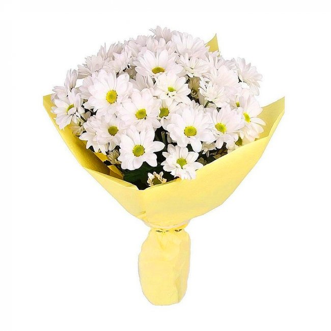Букет цветов "Ромашка" Букет цветов "Ромашка"